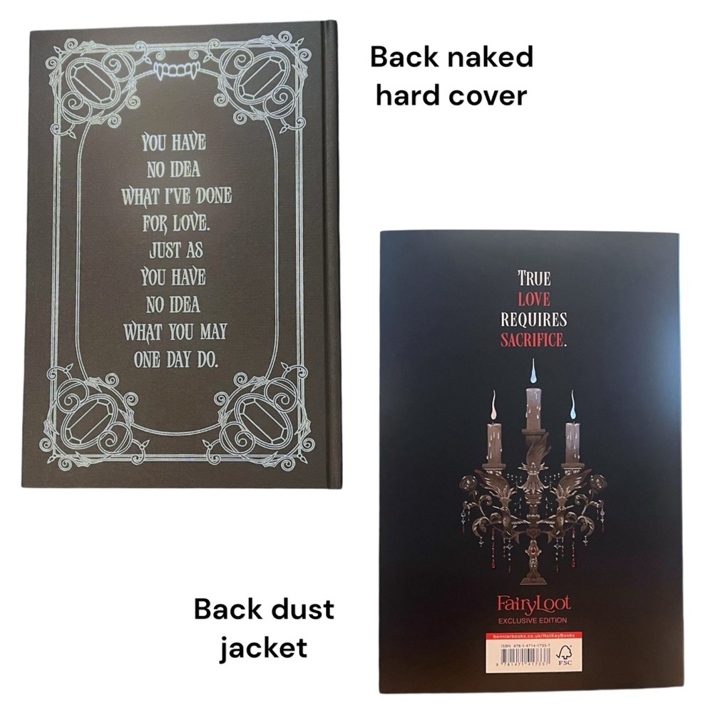 Fairyloot Full March 2025 Eternal Embrace Subscription Box - Picture 5 of 14